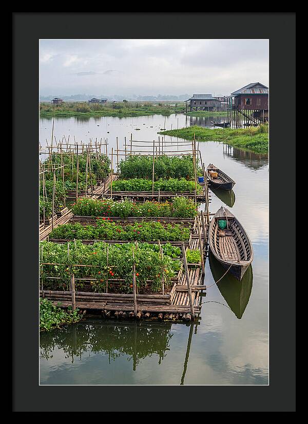 Farmers Floating On Water