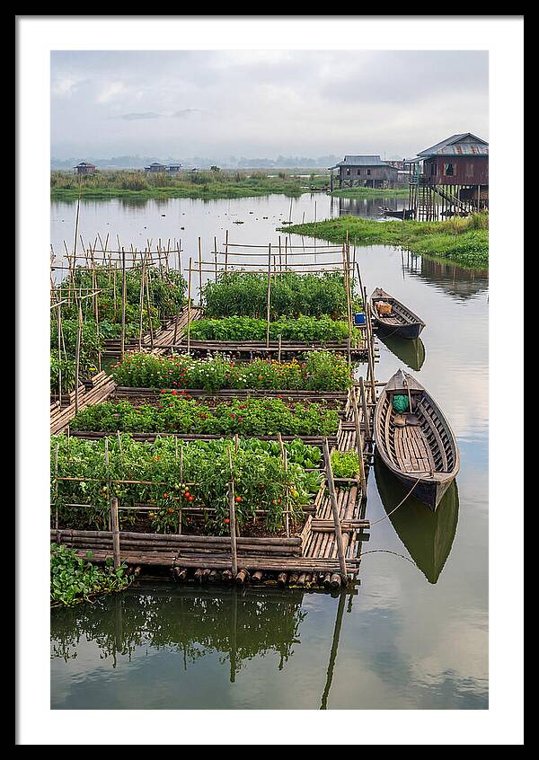 Farmers Floating On Water