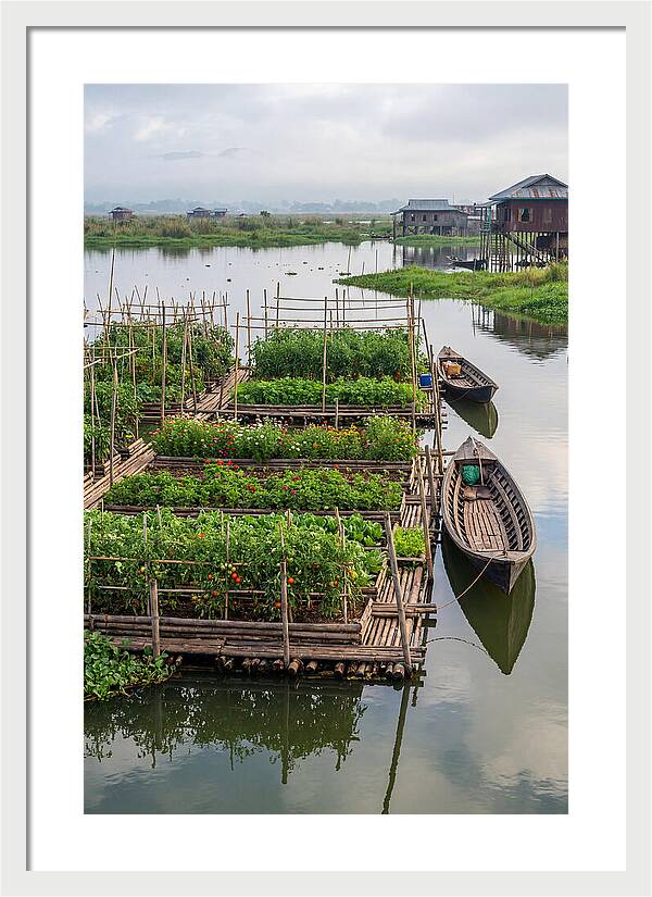Farmers Floating On Water