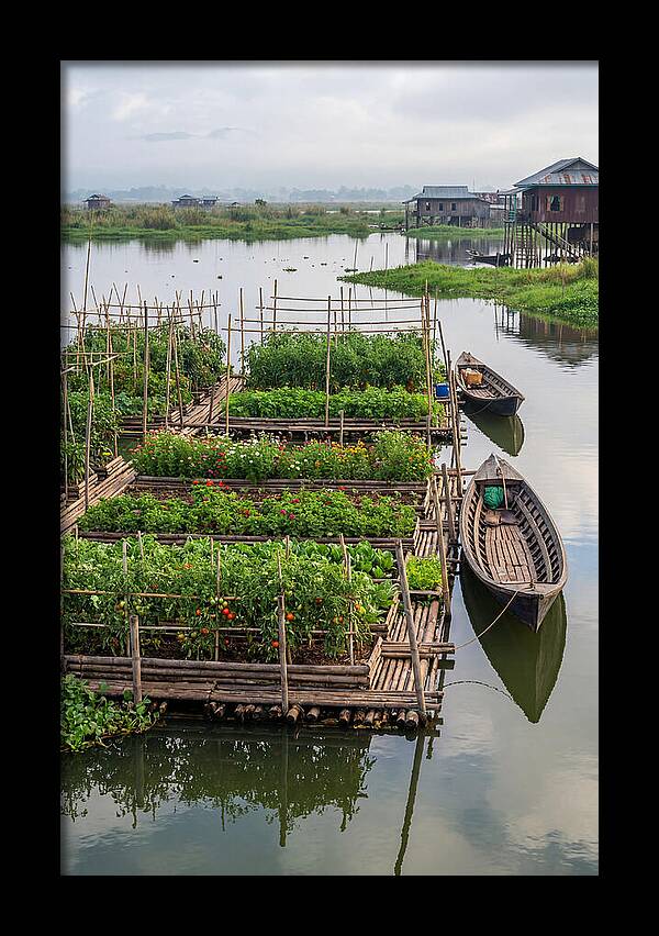 Farmers Floating On Water