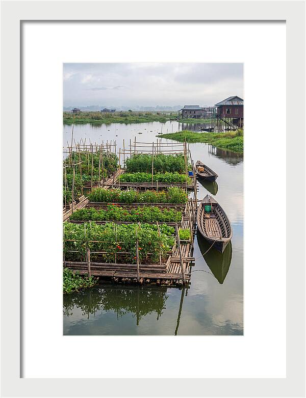 Farmers Floating On Water