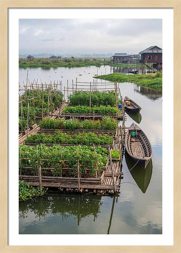 Farmers Floating On Water