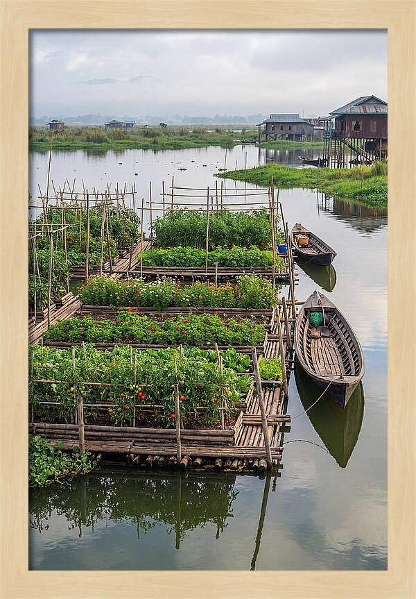 Farmers Floating On Water