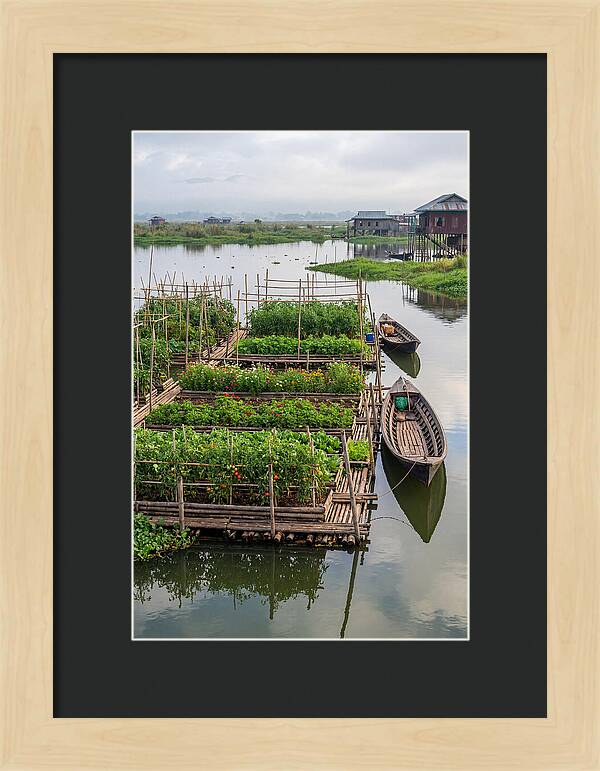 Farmers Floating On Water