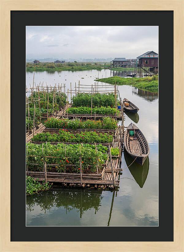 Farmers Floating On Water