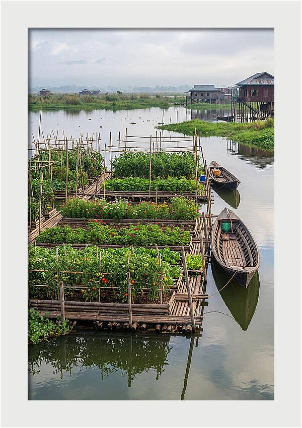Farmers Floating On Water
