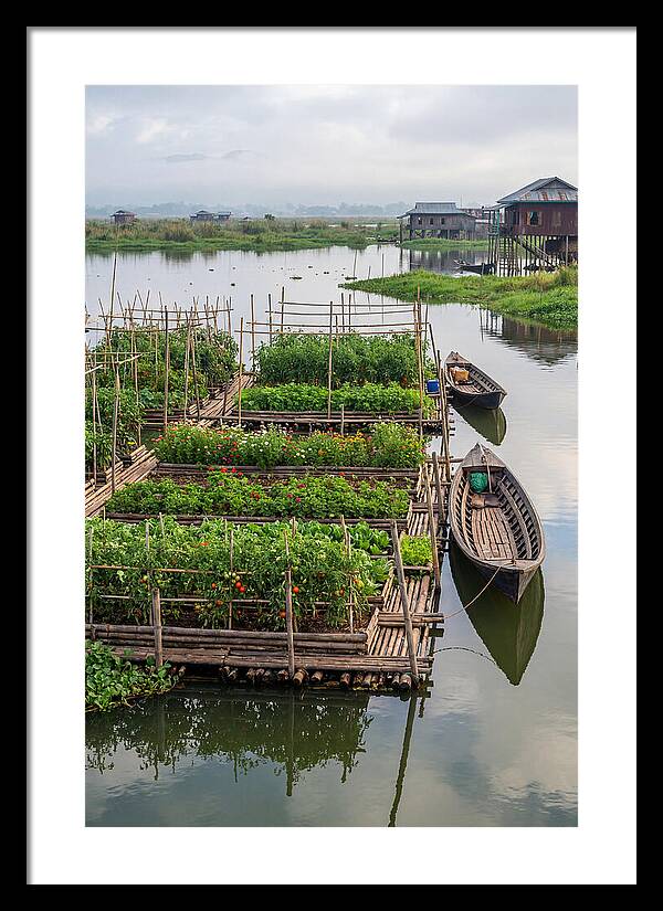 Farmers Floating On Water