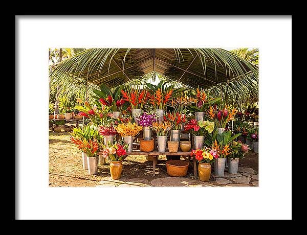 Farmers Market Flower Display