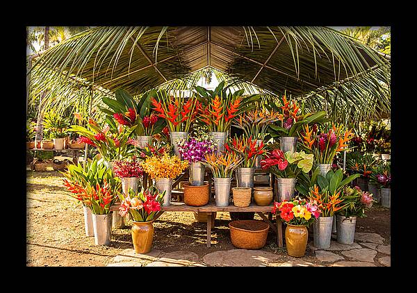 Farmers Market Flower Display