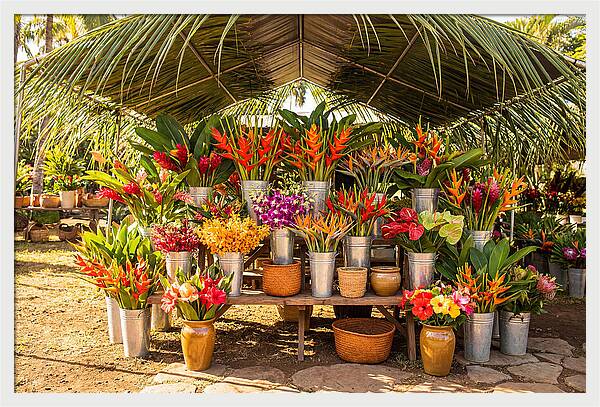 Farmers Market Flower Display