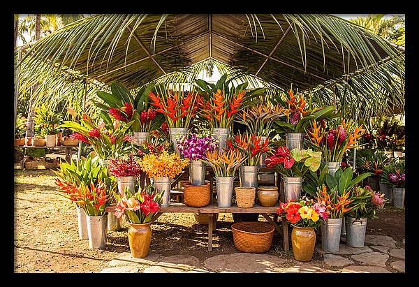 Farmers Market Flower Display
