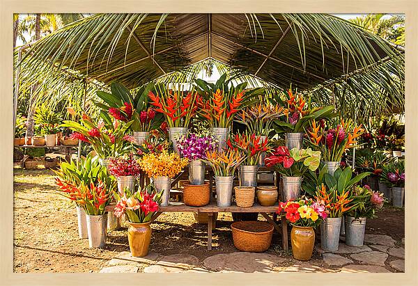 Farmers Market Flower Display