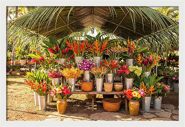 Farmers Market Flower Display