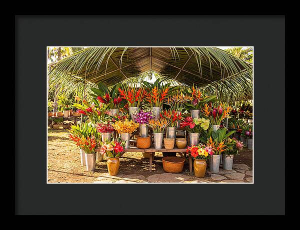 Farmers Market Flower Display