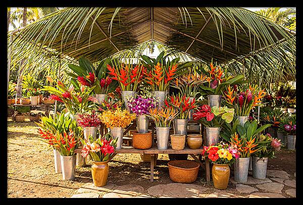 Farmers Market Flower Display