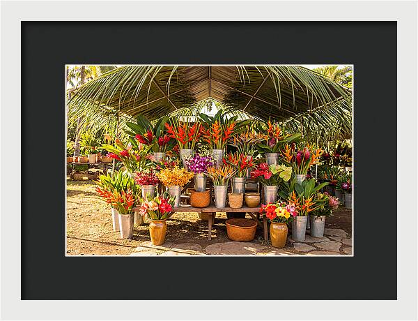 Farmers Market Flower Display