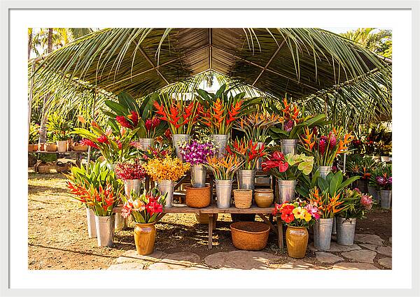 Farmers Market Flower Display
