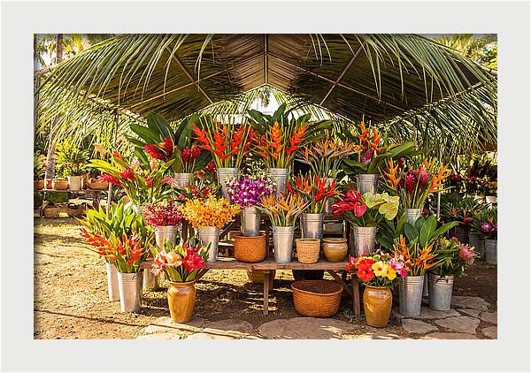 Farmers Market Flower Display
