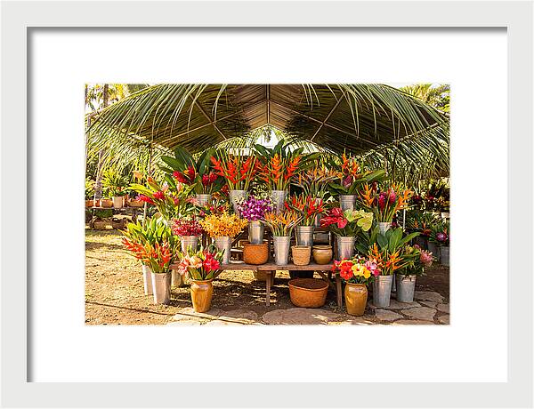 Farmers Market Flower Display