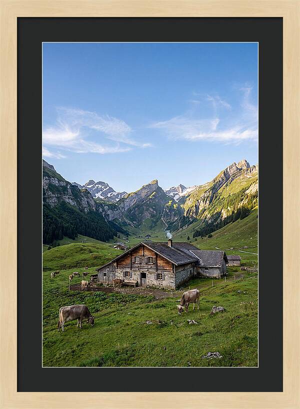 Farmhouse In The Alps