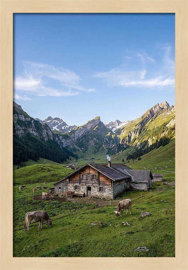 Farmhouse In The Alps