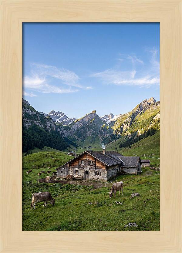Farmhouse In The Alps