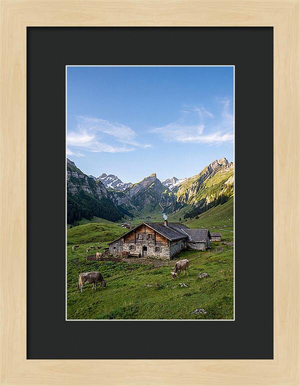 Farmhouse In The Alps