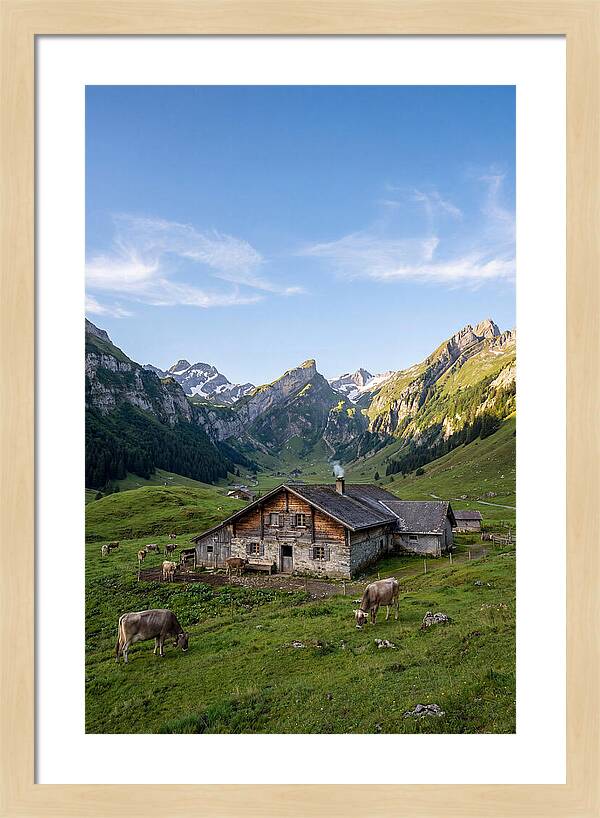 Farmhouse In The Alps