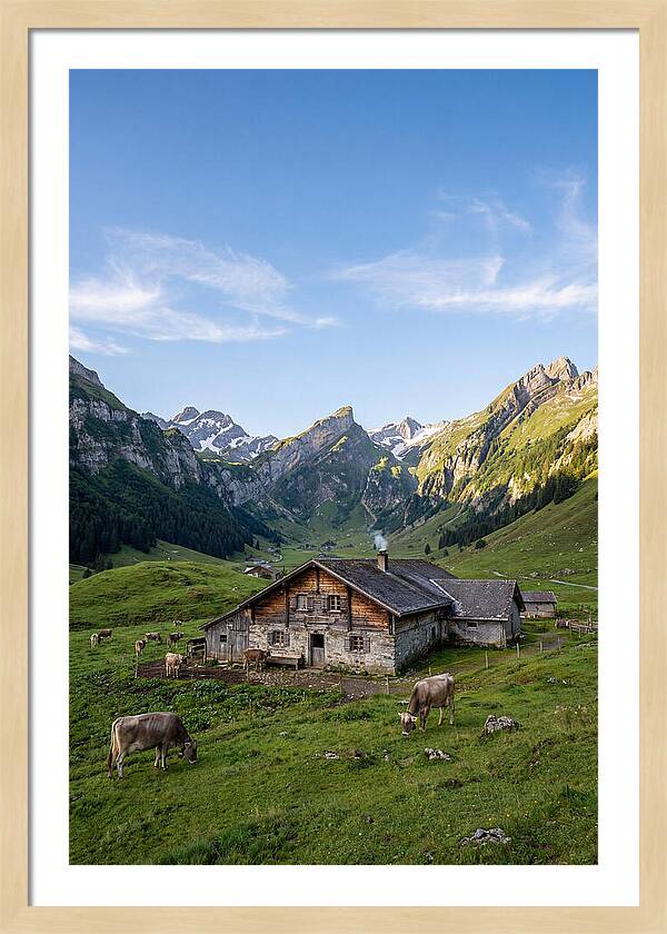 Farmhouse In The Alps