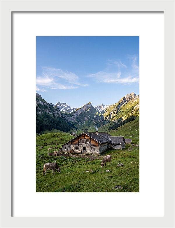 Farmhouse In The Alps