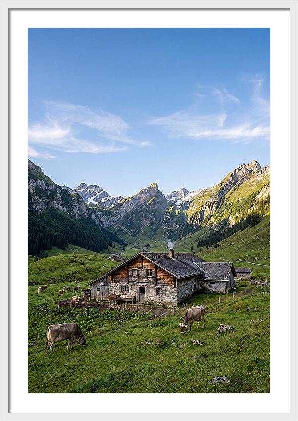 Farmhouse In The Alps