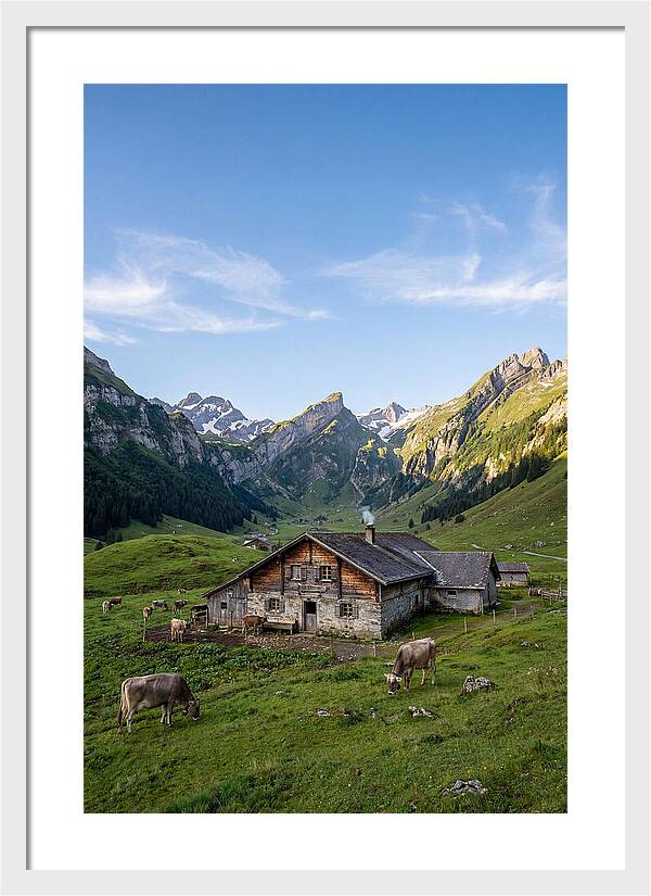 Farmhouse In The Alps