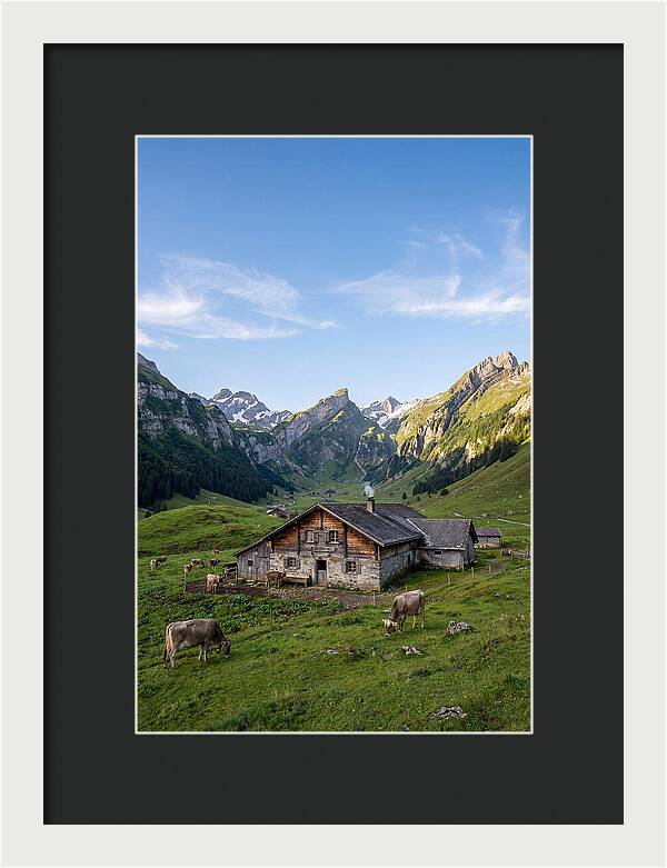 Farmhouse In The Alps