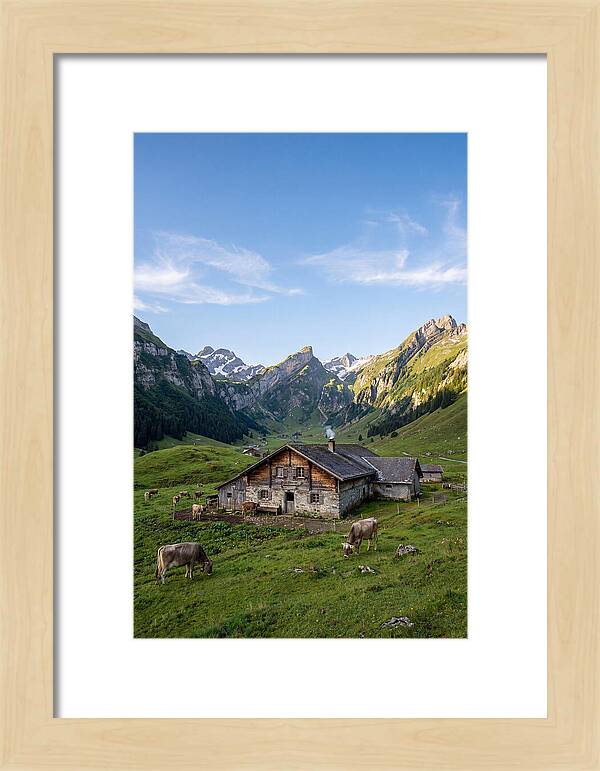 Farmhouse In The Alps