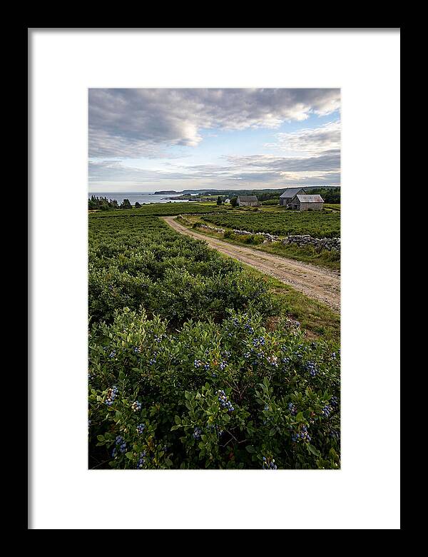 Farmhouse Serenity In Maine