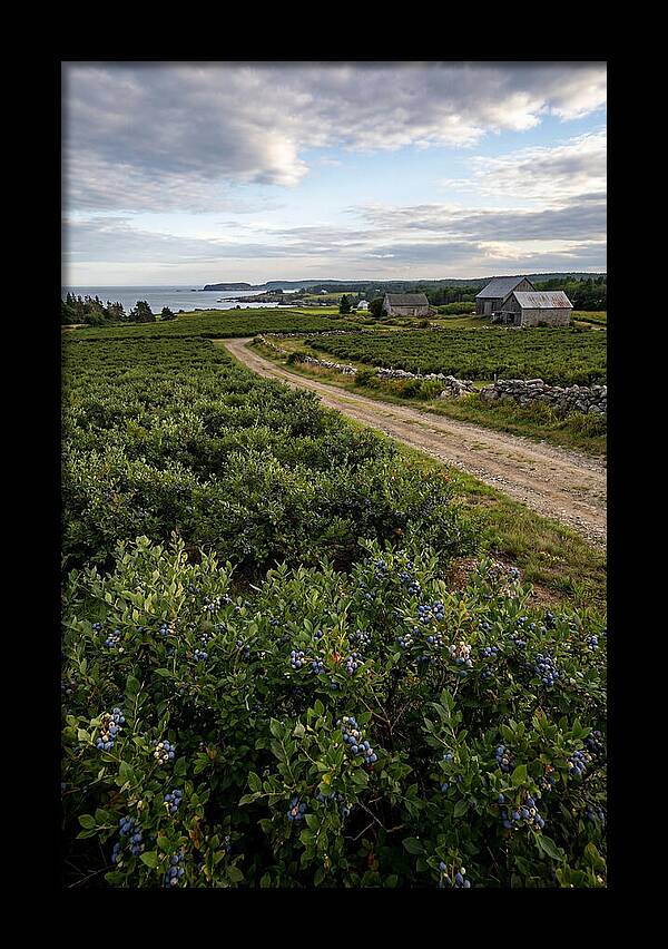Farmhouse Serenity In Maine