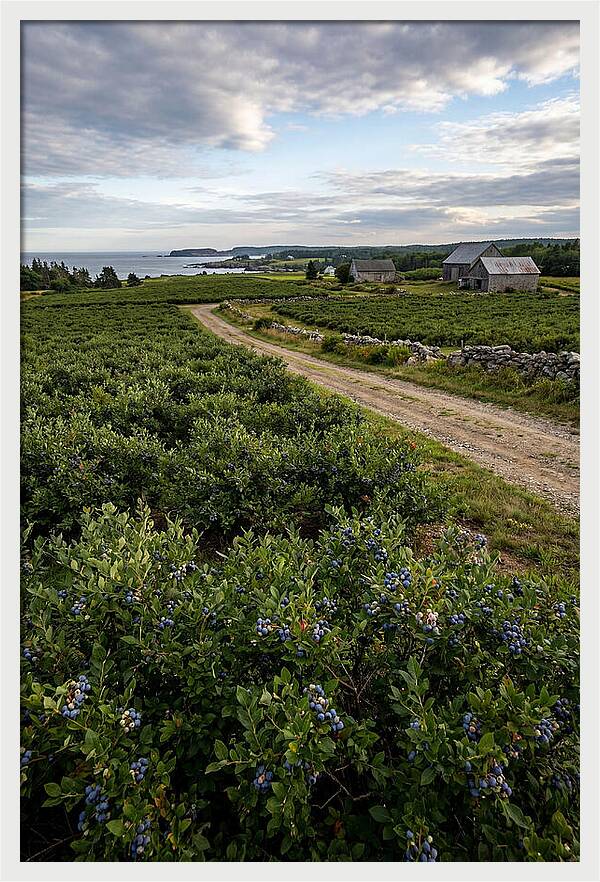 Farmhouse Serenity In Maine