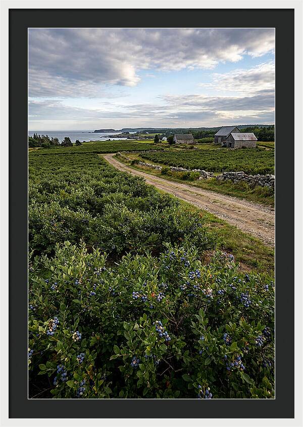 Farmhouse Serenity In Maine