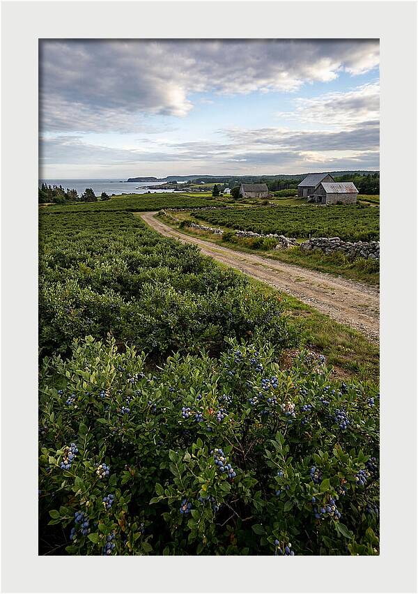 Farmhouse Serenity In Maine