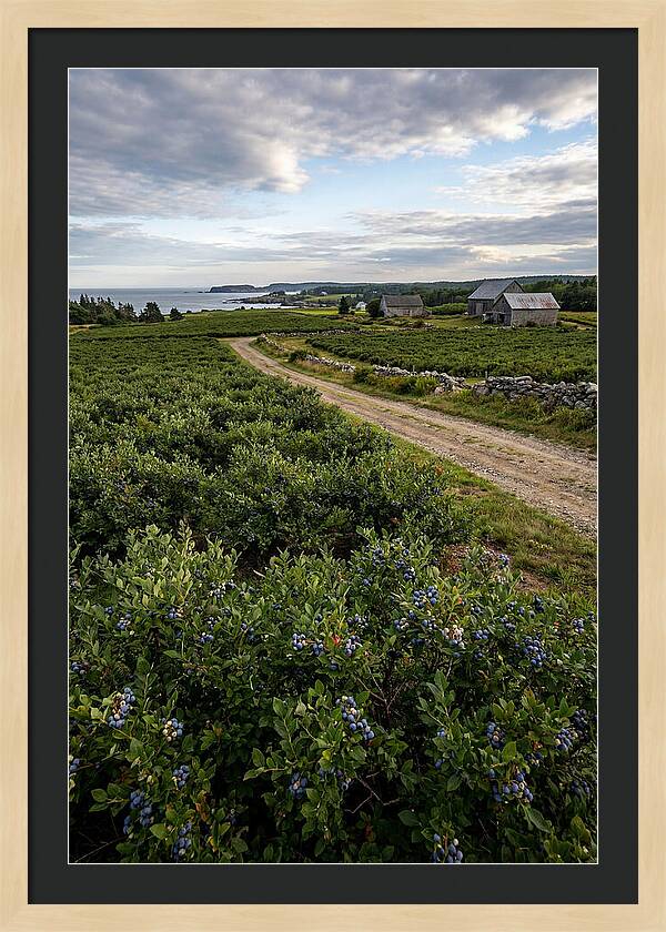 Farmhouse Serenity In Maine