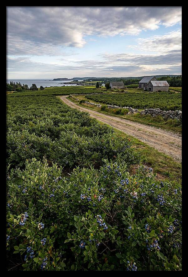 Farmhouse Serenity In Maine