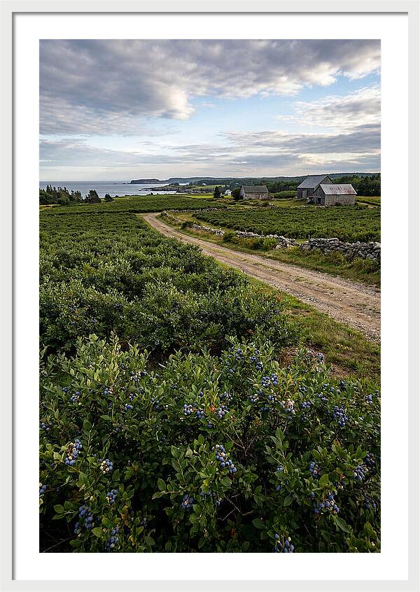 Farmhouse Serenity In Maine