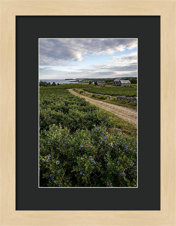 Farmhouse Serenity In Maine