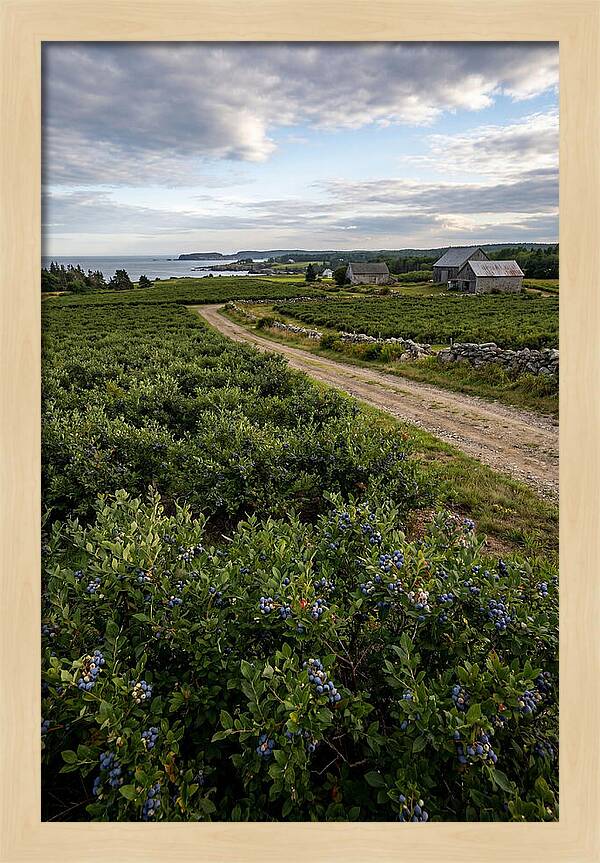 Farmhouse Serenity In Maine