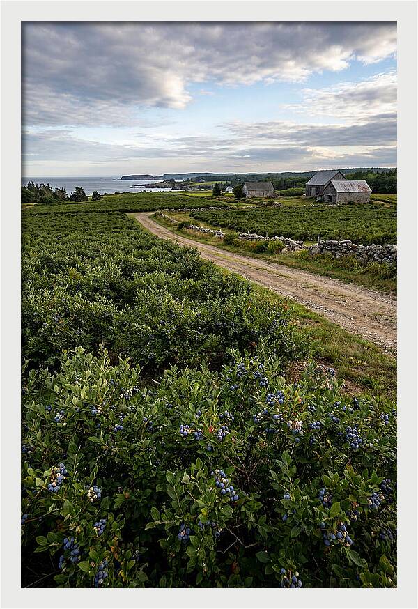 Farmhouse Serenity In Maine