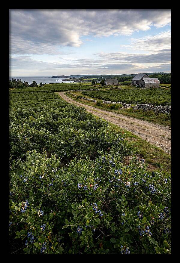 Farmhouse Serenity In Maine