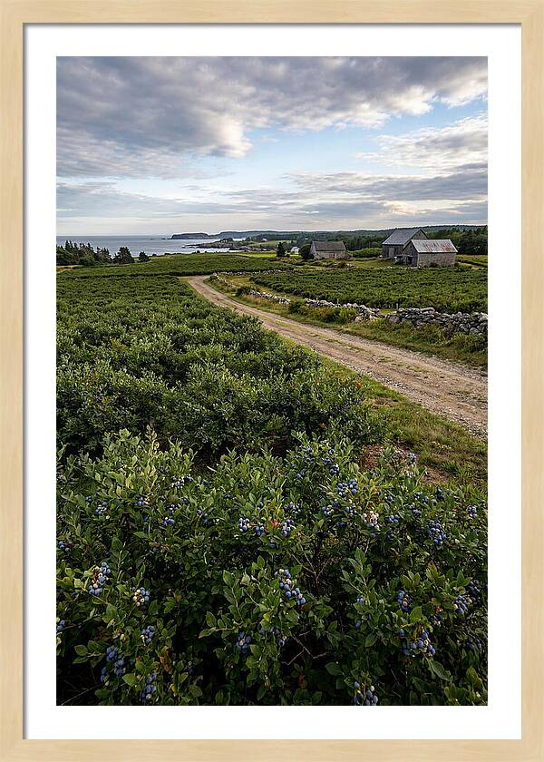 Farmhouse Serenity In Maine