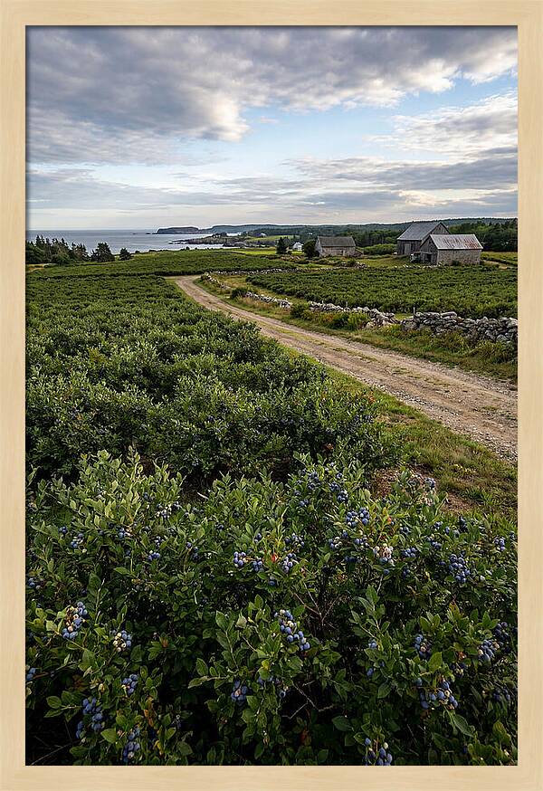 Farmhouse Serenity In Maine