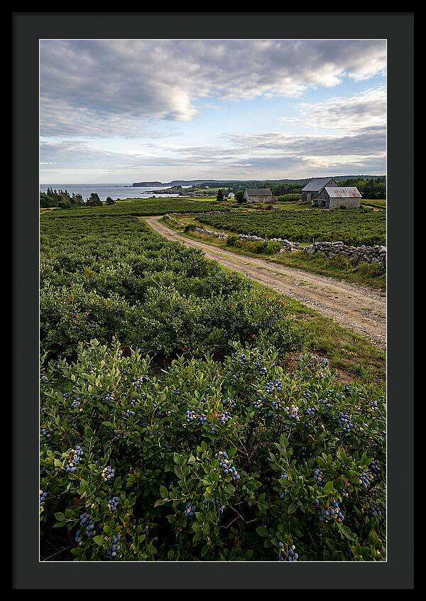 Farmhouse Serenity In Maine