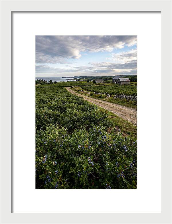 Farmhouse Serenity In Maine